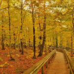 Escarpment Trail in Porcupine Mountains Wilderness State Park, Michigan
